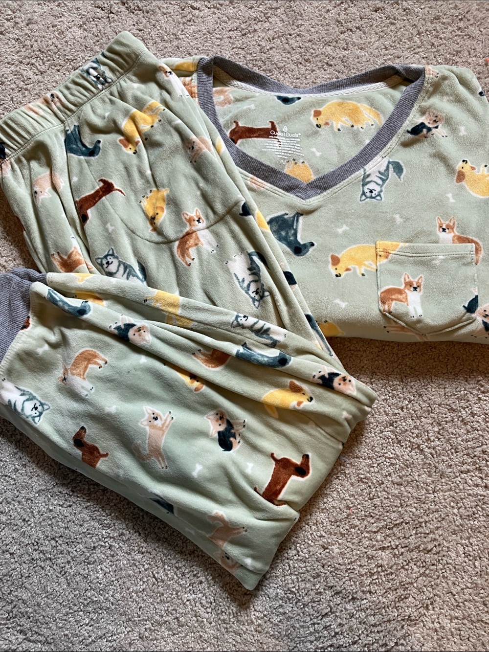 Cuddl Duds Dogs Pajama Set PL Top & Bottom Green